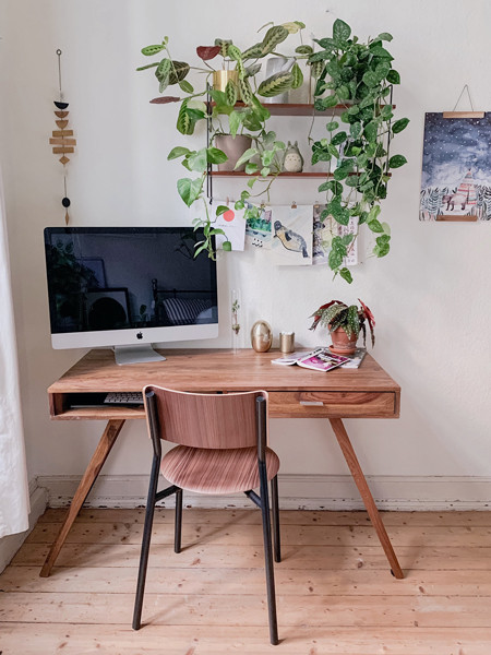 17 ides dco pour un salon avec des plantes